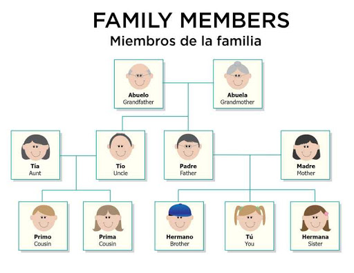 Family members in Spanish Family tree vocabulary